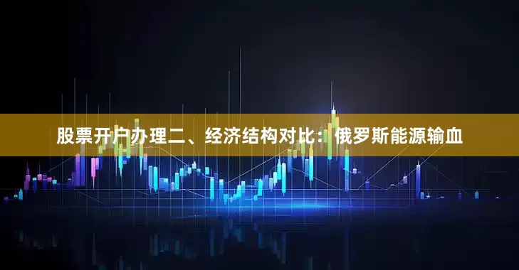 股票开户办理二、经济结构对比：俄罗斯能源输血
