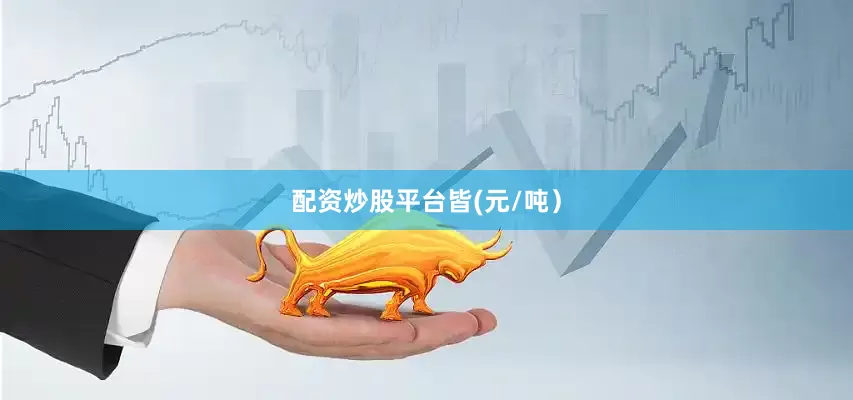配资炒股平台皆(元/吨）